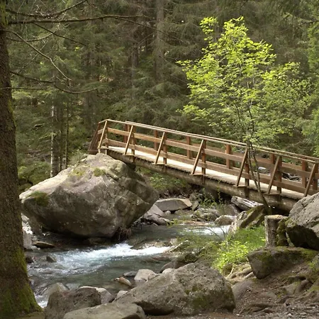 The Wild Deer Retreat