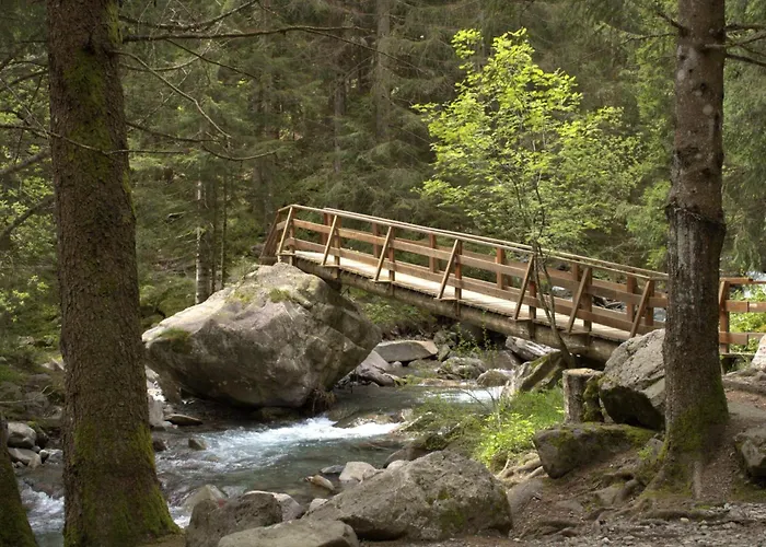 The Wild Deer Retreat